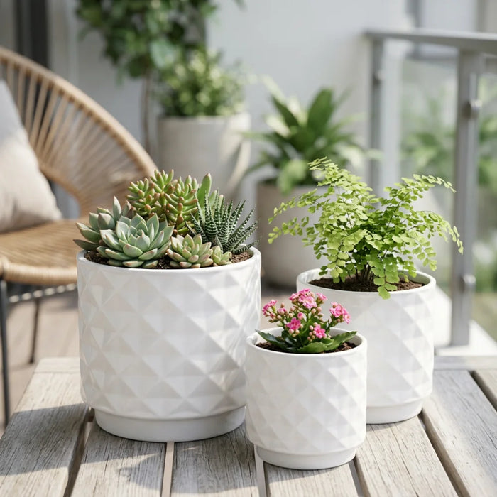 Set 3 Maceteros Macetas De Ceramica Para Plantas Decoracion
