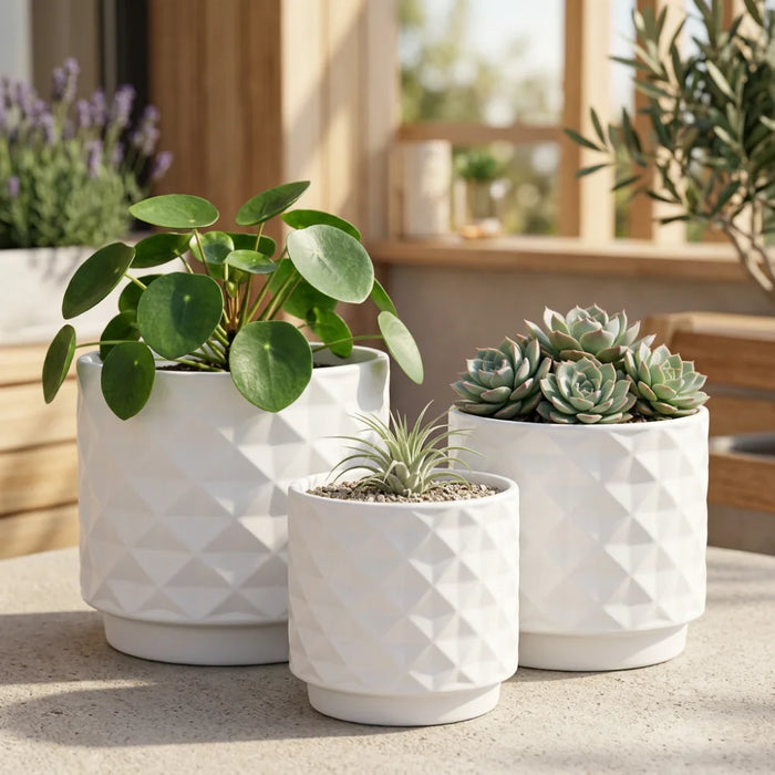 Set 3 Maceteros Macetas De Ceramica Para Plantas Decoracion