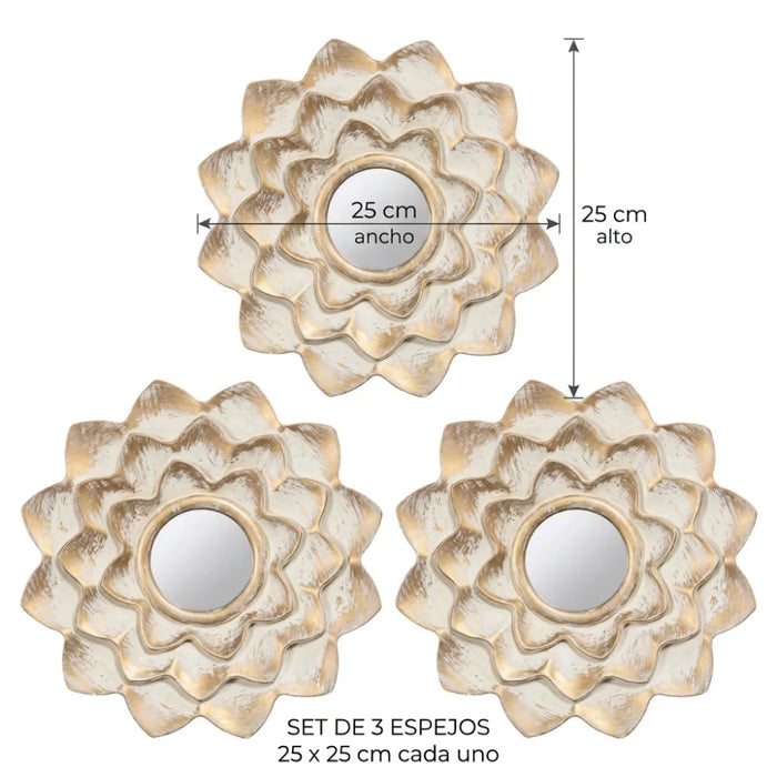 Set 3 Marcos De Espejos Decorativos Flor Para Pared Hogar