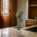 Planta Artificial Dracena Grande En Macetero Plastico Blanco - Fliperex