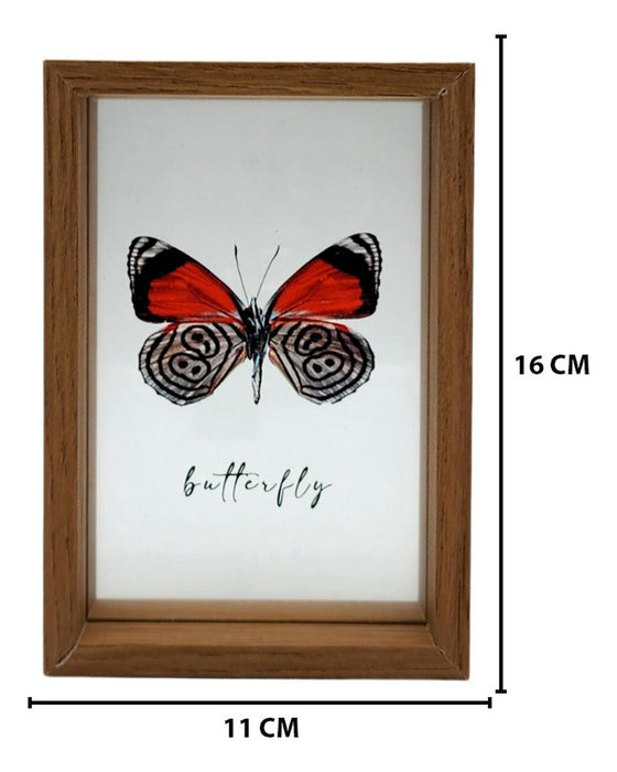 Cuadro De Vidrio Marco Madera Diseño Mariposa Decorativo