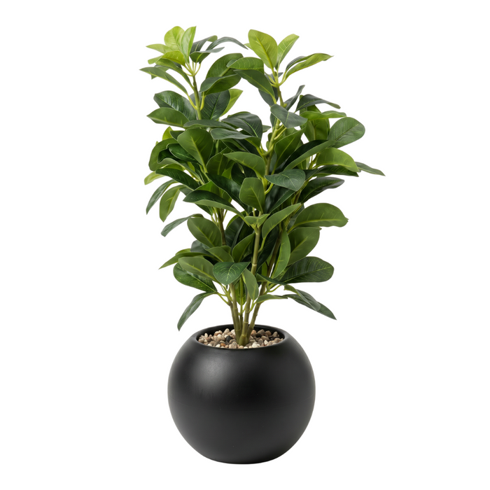 png_1500x1500_71501070