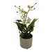Planta Artificial Orquidea Blanco Decorativa Macetero Loza - Fliperex