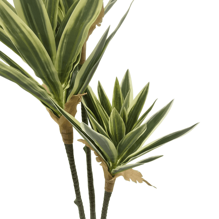 Planta Artificial Dracena Grande En Macetero Plastico Blanco - Fliperex