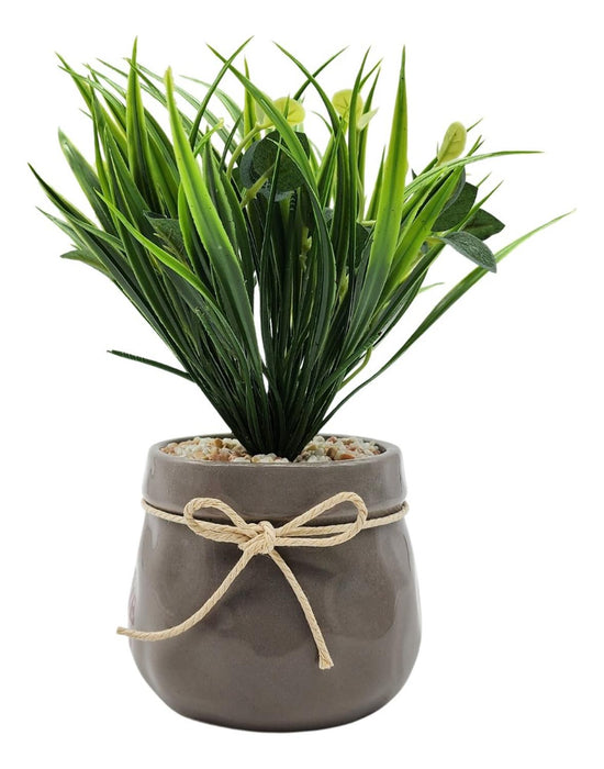 Planta Artificial Plantita Macetero Ceramica Sweet Home