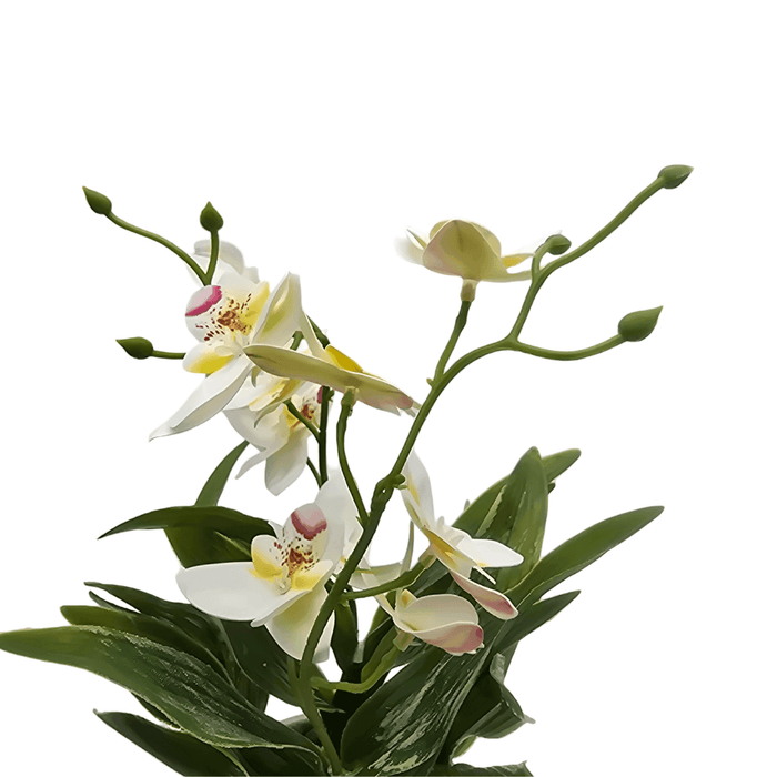 Planta Artificial Orquidea Blanco Decorativa Macetero Loza - Fliperex