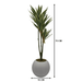 Planta Artificial Dracena Grande En Macetero Plastico Blanco - Fliperex