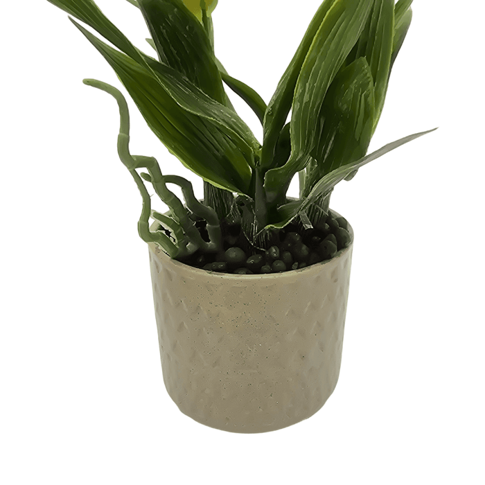 Planta Artificial Orquidea Blanco Decorativa Macetero Loza - Fliperex