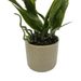 Planta Artificial Orquidea Blanco Decorativa Macetero Loza - Fliperex