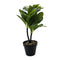 Planta Artificial Hoja Verde Deco Macetero Plastico Negro