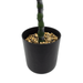 Planta Artificial Bambu Decorativa Macetero Plastico Negro - Fliperex