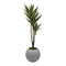 Planta Artificial Dracena Grande En Macetero Plastico Blanco