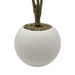 Planta Artificial Dracena Grande En Macetero Plastico Blanco - Fliperex