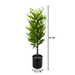 Planta Artificial Bambu Decorativa Macetero Plastico Negro - Fliperex