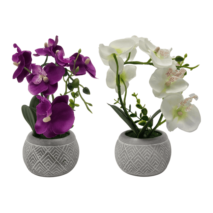 Planta Artificial Orquidea Pequeña Macetero De Cemento - Fliperex