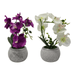 Planta Artificial Orquidea Pequeña Macetero De Cemento - Fliperex