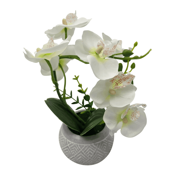 Planta Artificial Orquidea Pequeña Macetero De Cemento - Fliperex