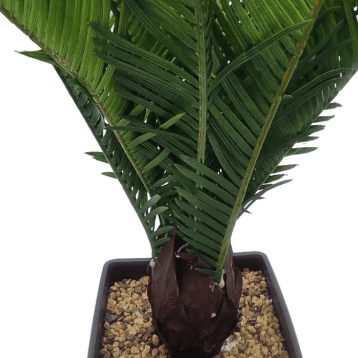 Planta Artificial Palmera Macetero Plastico Negro Grande - Fliperex