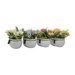 Planta Artificial Macetero Ceramica Blanco Arreglo Floral - Fliperex
