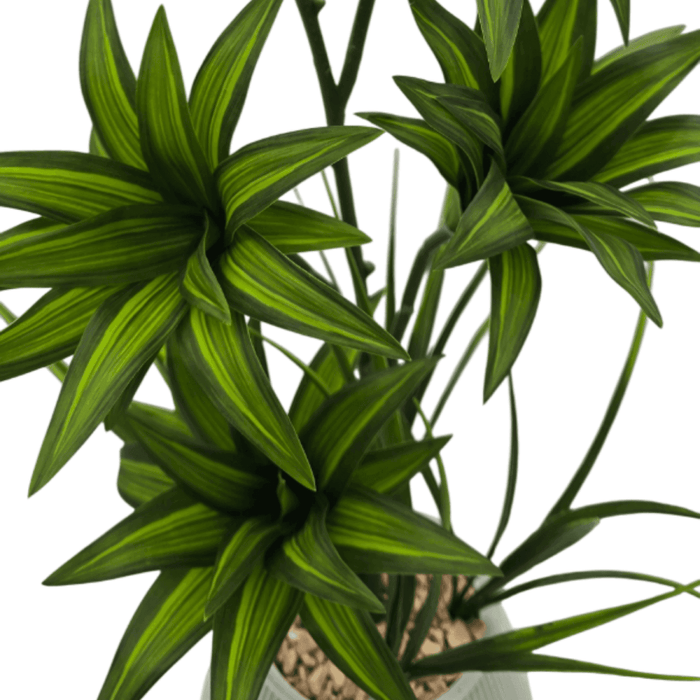 Planta Artificial Bambu Lirio Decorativo Macetero Ceramica - Fliperex