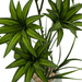 Planta Artificial Bambu Lirio Decorativo Macetero Ceramica - Fliperex