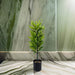 Planta Artificial Bambu Decorativa Macetero Plastico Negro - Fliperex