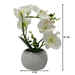 Planta Artificial Orquidea Pequeña Macetero De Cemento - Fliperex