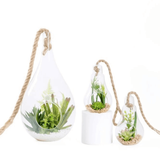 Terrario Colgante De Vidrio En Forma De Gota Para Plantas - Fliperex