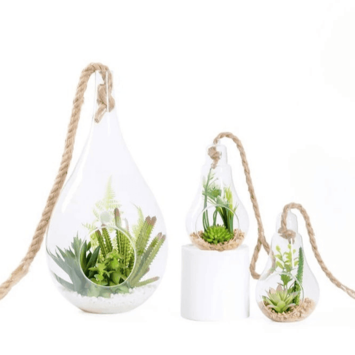 Terrario Colgante De Vidrio En Forma De Gota Para Plantas - Fliperex