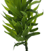 Planta Artificial Bambu Decorativa Macetero Plastico Negro - Fliperex