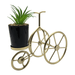 Figura Decorativa Bicicleta Metal Adorno Dorado Mini Planta - Fliperex